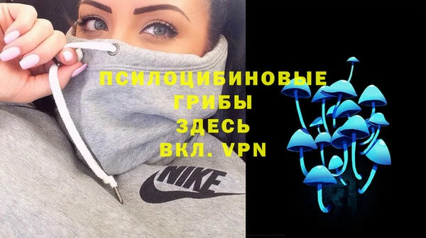 соль курить ск Арсеньев