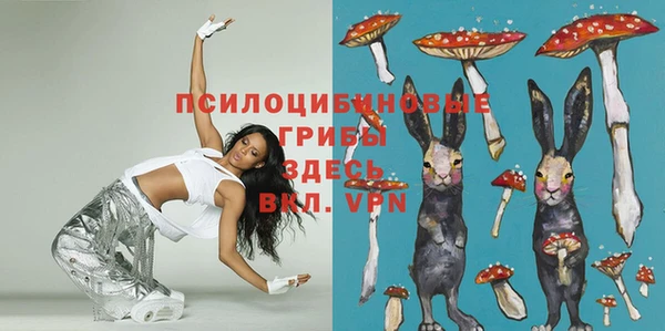 первитин Армянск