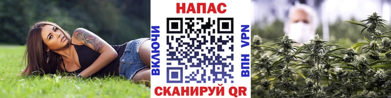 Бошки Шишки Ganja  Тырныауз 